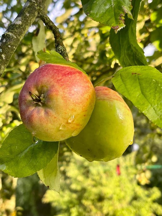 Вилла Apple Tree House Lubin  Экстерьер фото