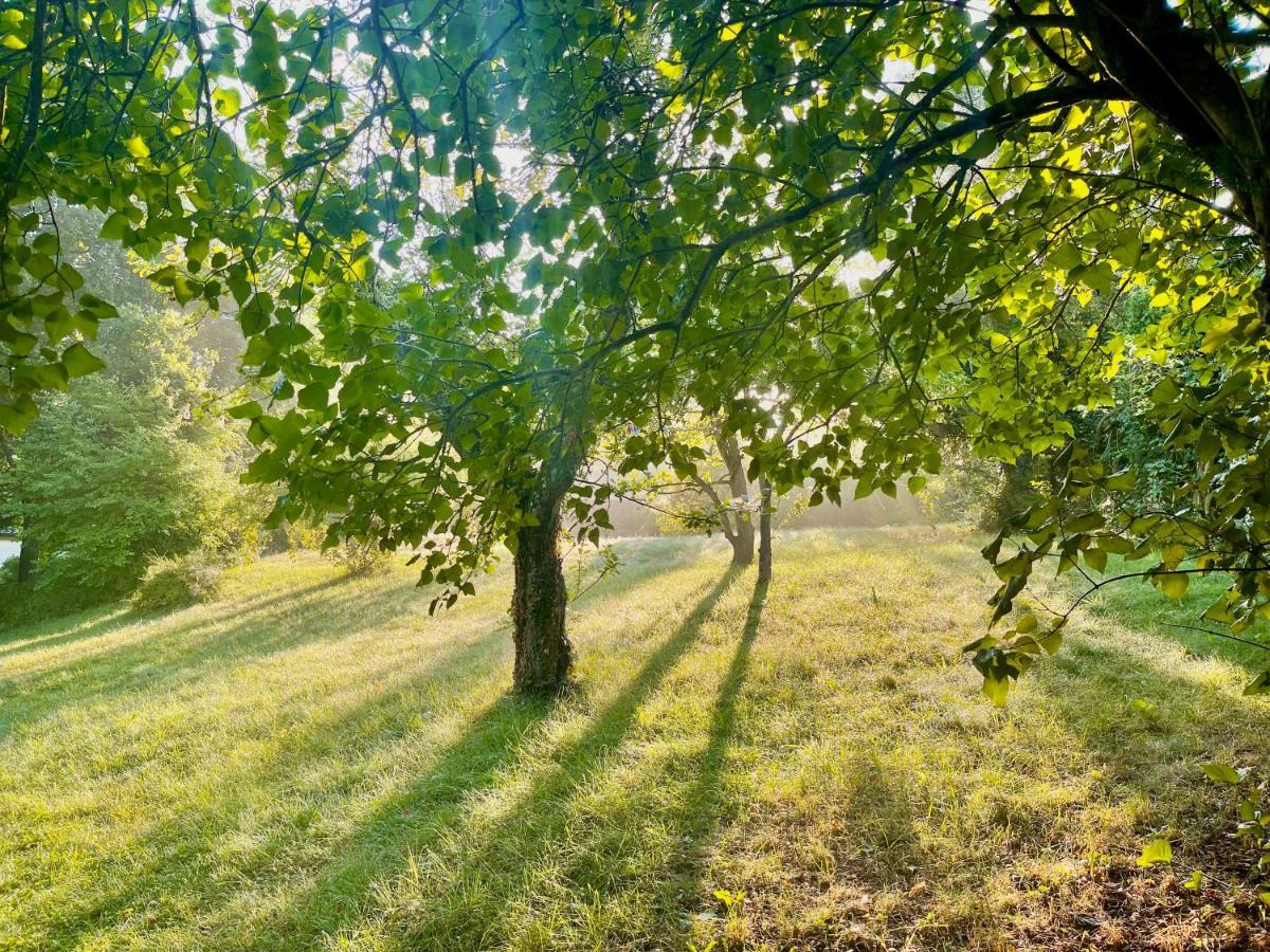 Вилла Apple Tree House Lubin  Экстерьер фото